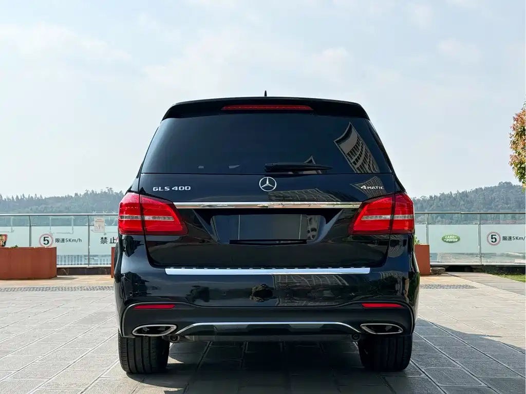 Mercedes-Benz GLS 2019 — фото 5