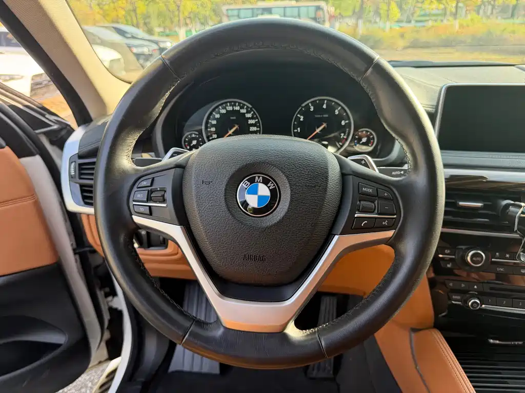 BMW X6 2017 — фото 10