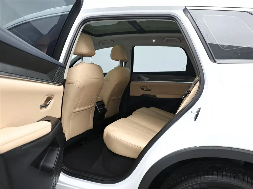 BYD Pro New Energy 2024 — фото 13