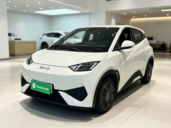 BYD Seagull 2025