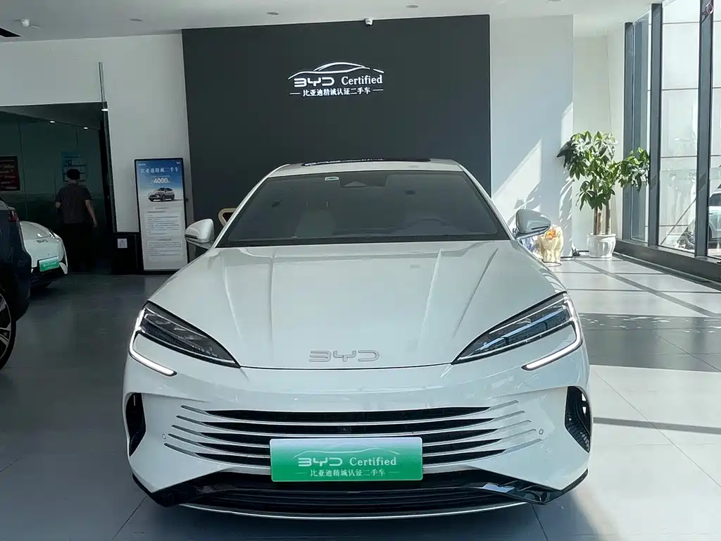 BYD Seal 07 DM-i 2024 — фото 2