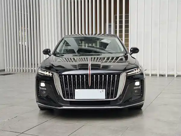 Hongqi H5 2024