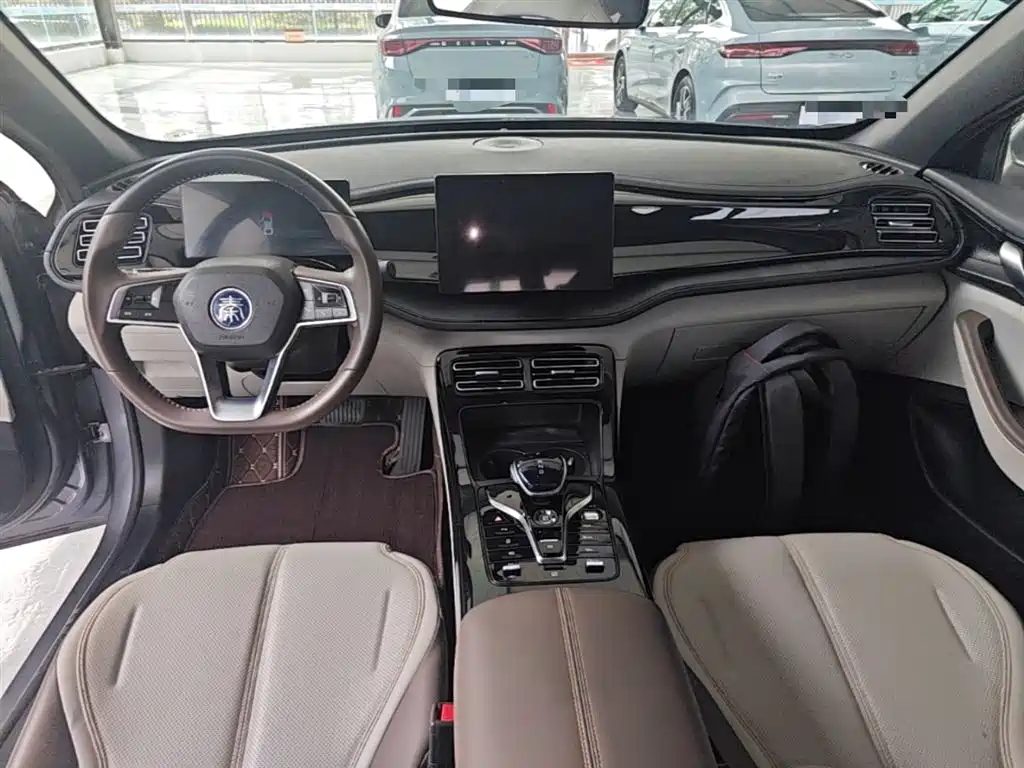 BYD Qin PLUS 2023 — фото 10