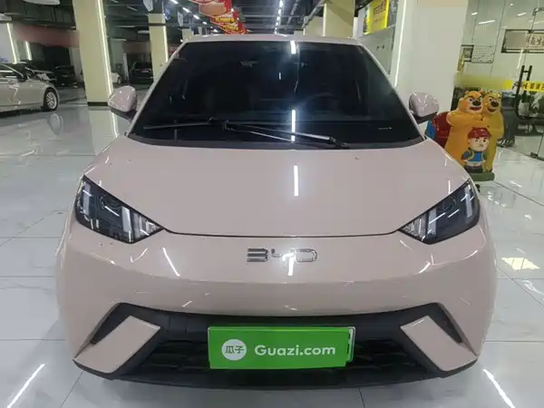 BYD Seagull 2024