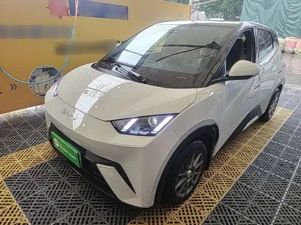 BYD Seagull 2024