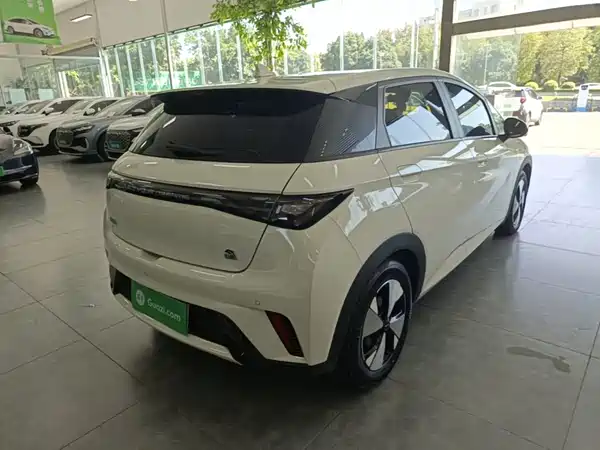 BYD Dolphin 2023