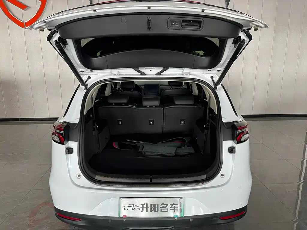 BYD Tang New Energy 2018 — фото 18