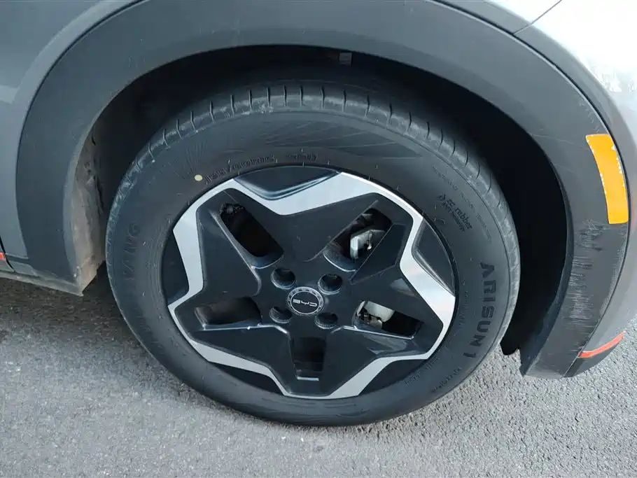 BYD Dolphin 2022