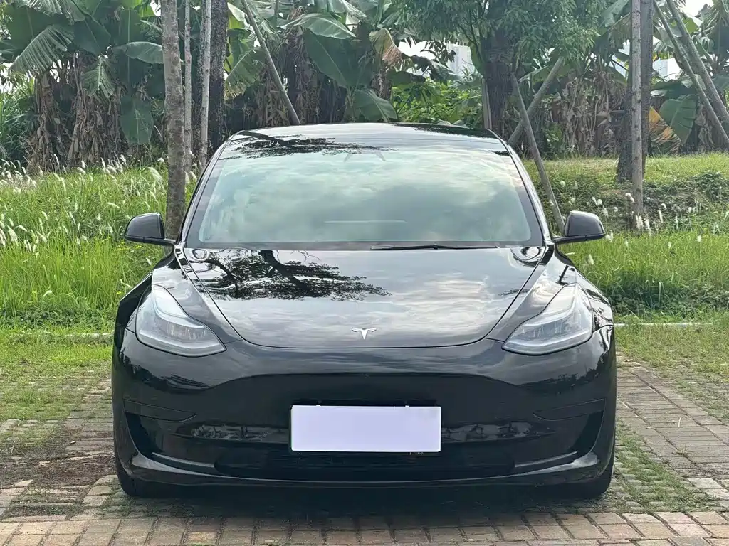 Tesla Model 3 2021 — фото 2