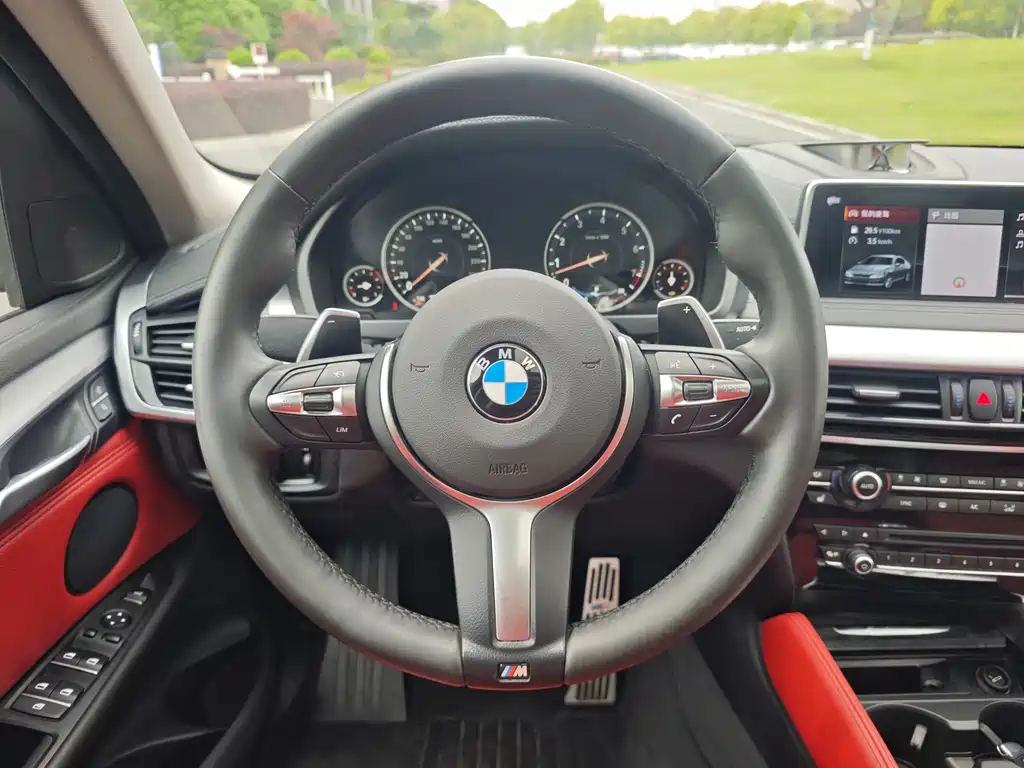BMW X6 2019 — фото 10