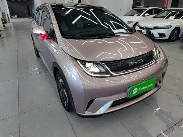 BYD Dolphin 2022