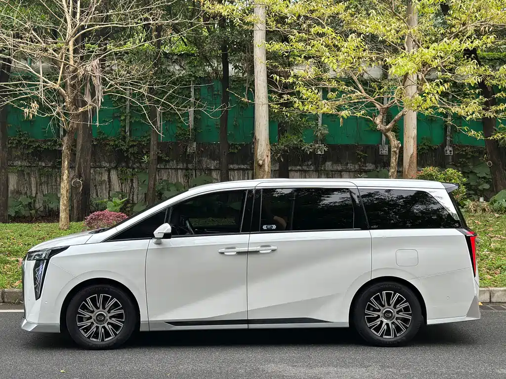 GAC Motor Trumpchi E9 2023 — фото 15
