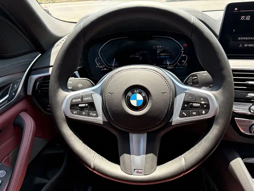 BMW 5 Series New Energy 2021 — фото 14
