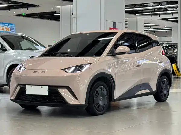 BYD Seagull 2024