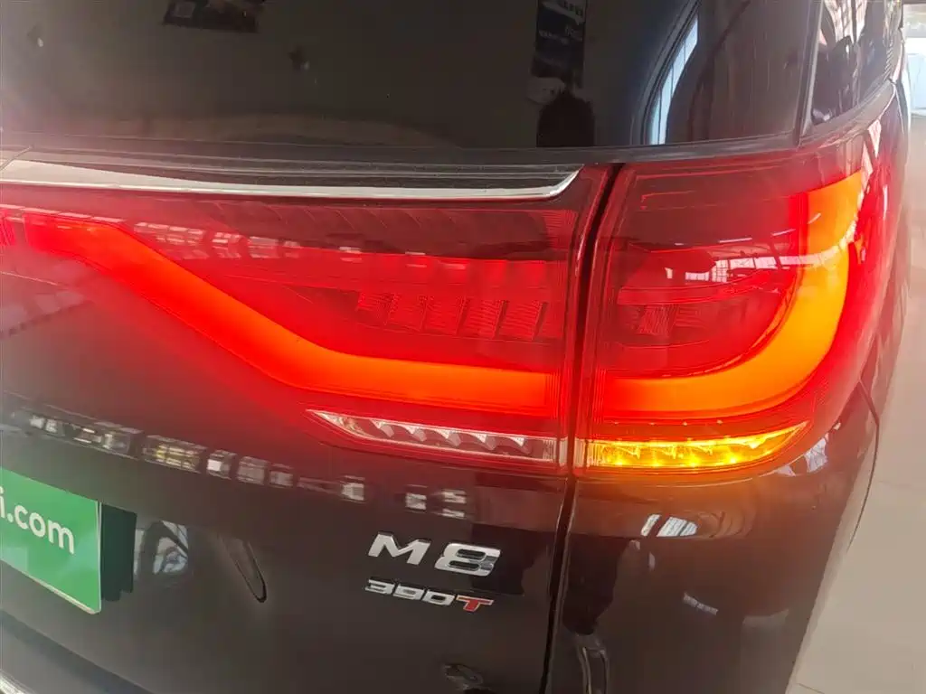 GAC Motor Trumpchi M8 2021 — фото 8