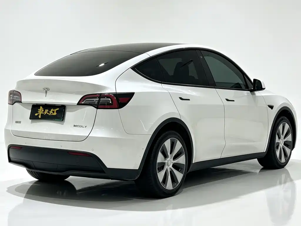 Tesla Model Y 2021 — фото 12