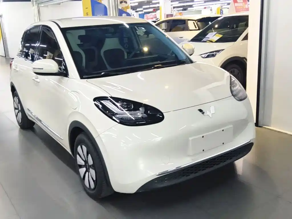 Wuling Bingo 2024