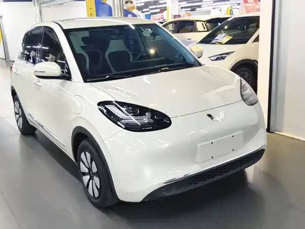 Wuling Bingo 2024