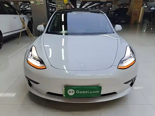 Tesla Model 3 2020