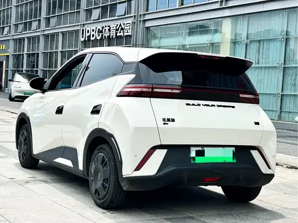 BYD Seagull 2024