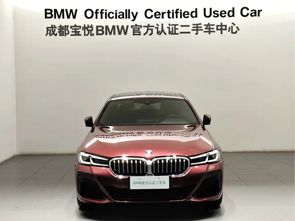 BMW 5 Series New Energy 2022 — фото 4