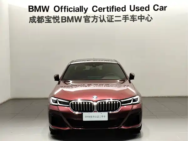 BMW 5 Series New Energy 2022