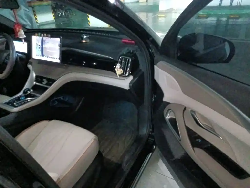 BYD Song Pro New Energy 2024 — фото 19
