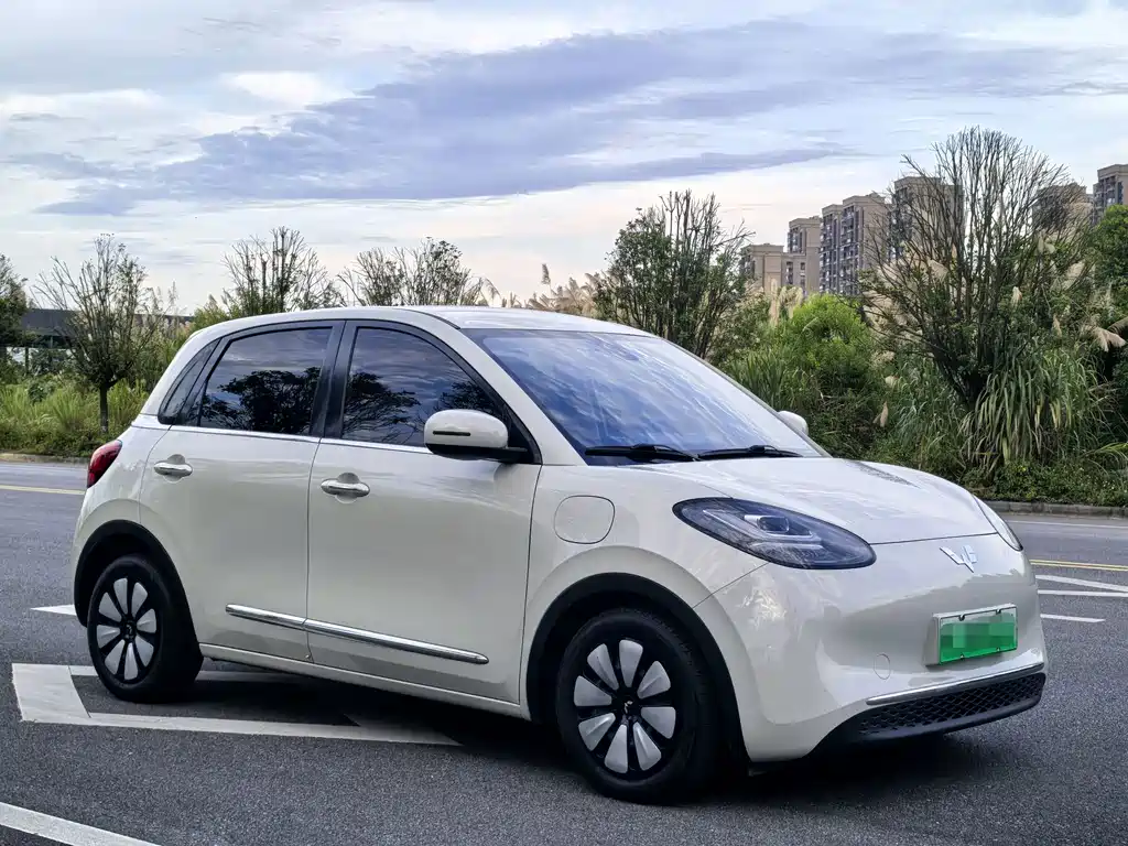 Wuling Bingo 2023