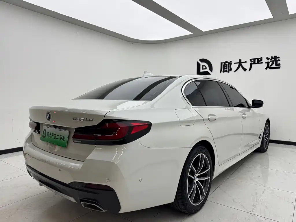 BMW 5 Series New Energy 2020 — фото 6