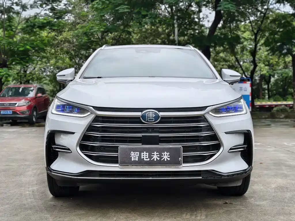BYD Tang New Energy 2022 — фото 2