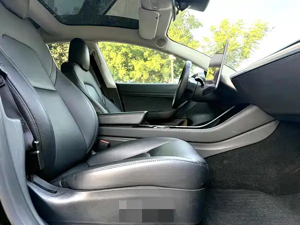 Tesla Model 3 2020