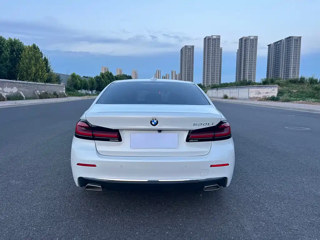 BMW 5 Series 2021