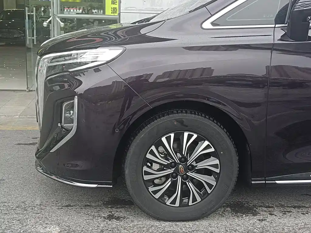 Hongqi HQ9 PHEV 2024 — фото 3
