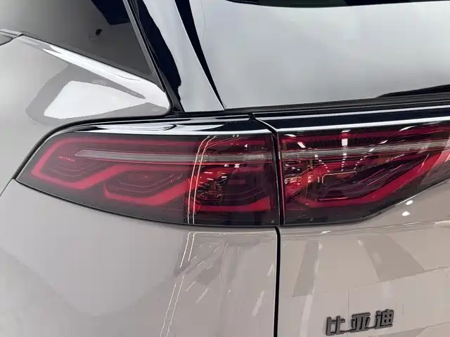 BYD Tang New Energy 2025 — фото 20