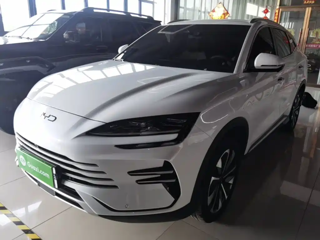 BYD PLUS New Energy 2025 — фото 2