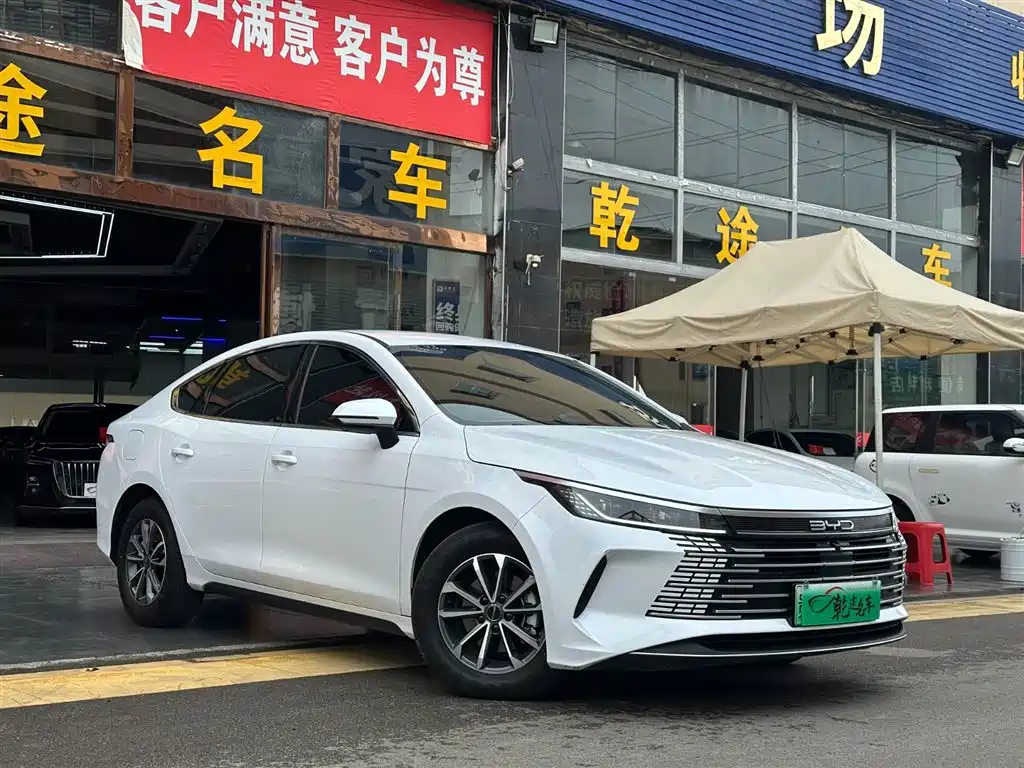 BYD Destroyer 05 2024 — фото 2