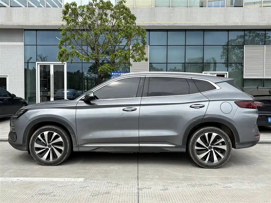 BYD PLUS New Energy 2024 — фото 3