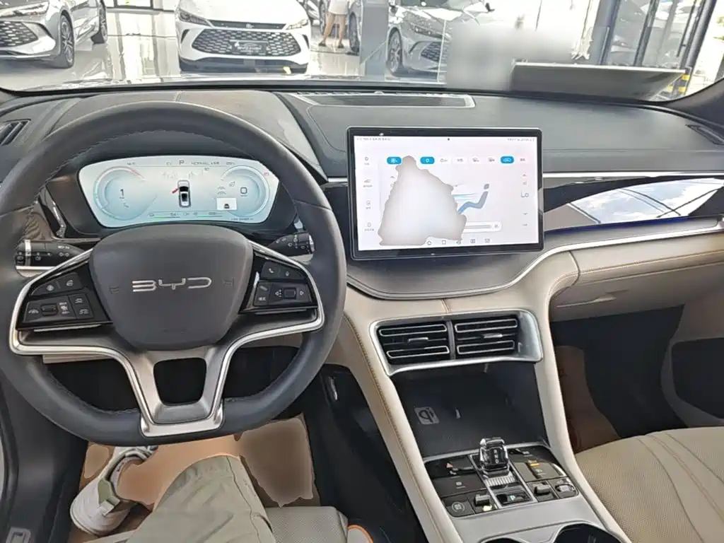 BYD Song PLUS New Energy 2024 — фото 10