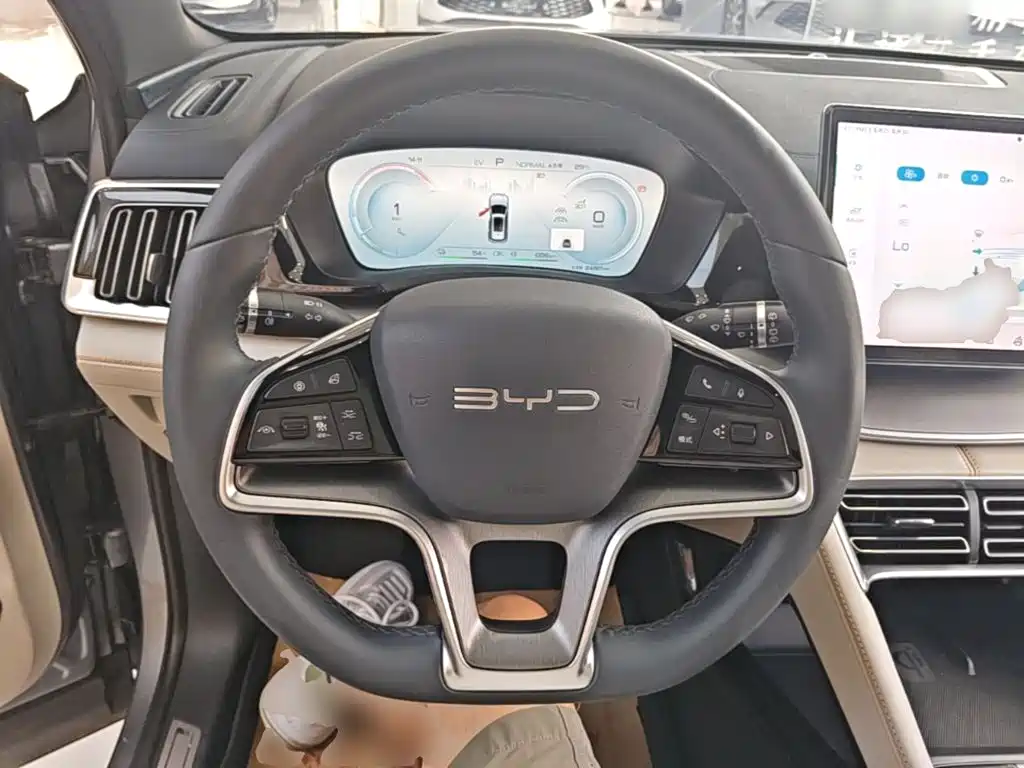 BYD Song PLUS New Energy 2024 — фото 11