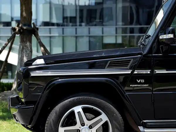Mercedes-Benz G-Class AMG 2009