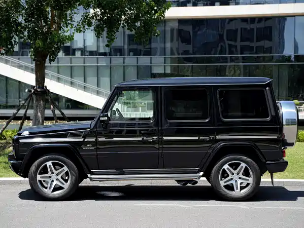 Mercedes-Benz G-Class AMG 2009