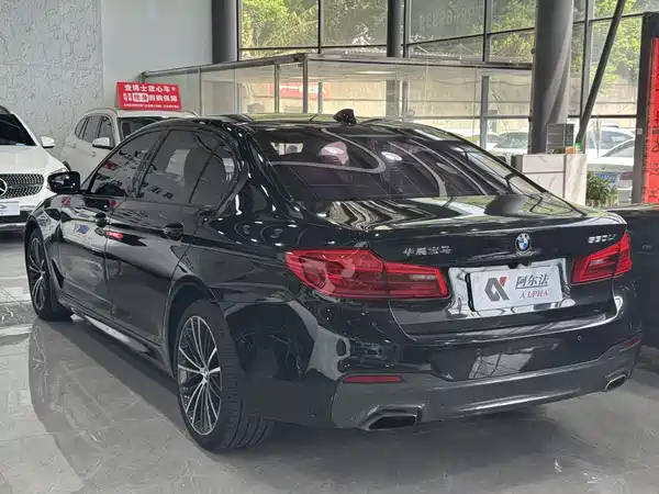 BMW 5 Series 2019