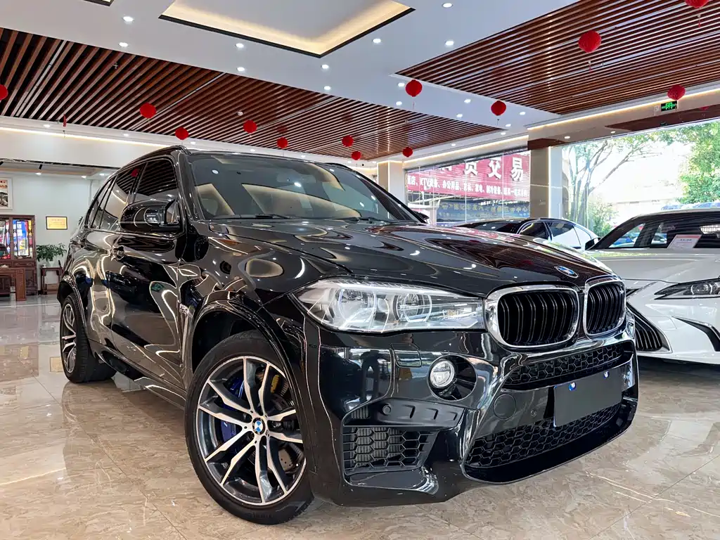 BMW X5 M 2017 — фото 3