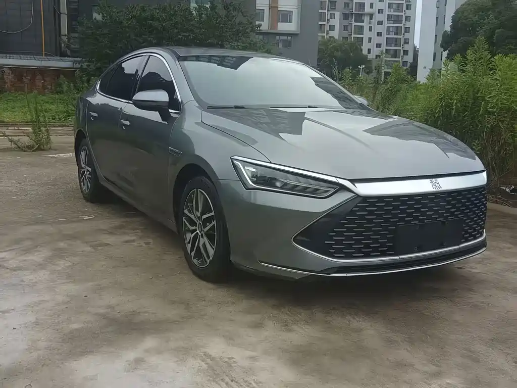 BYD Qin PLUS 2022