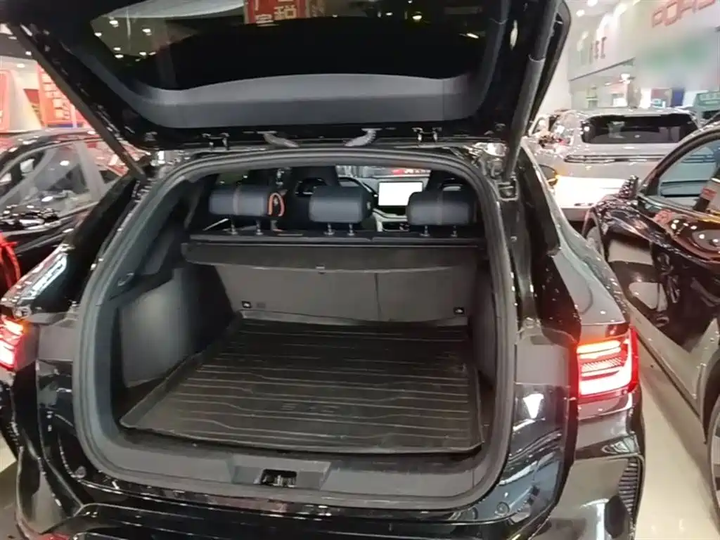 BYD PLUS New Energy 2024 — фото 19