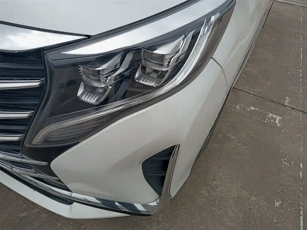 GAC Motor Trumpchi M8 2021 — фото 18