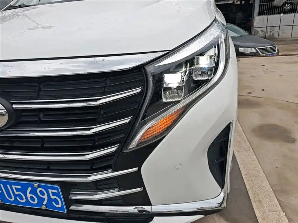 GAC Motor Trumpchi M8 2021 — фото 18