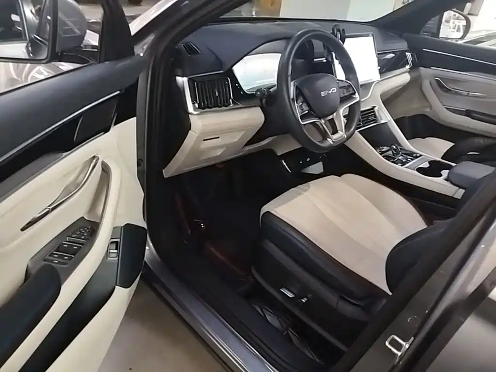 BYD Song PLUS New Energy 2024 — фото 16
