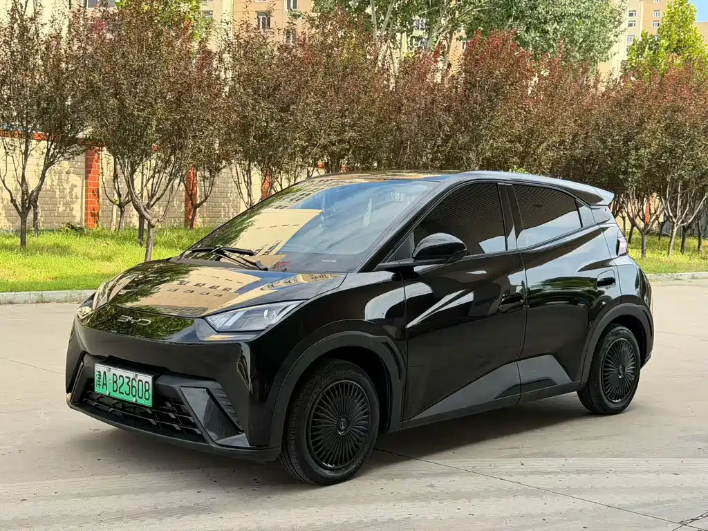 BYD Seagull 2024
