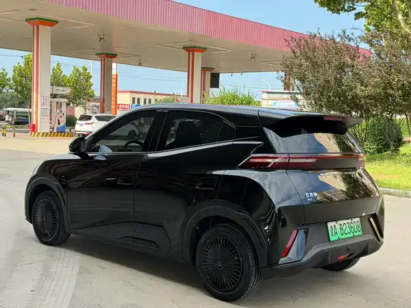 BYD Seagull 2024